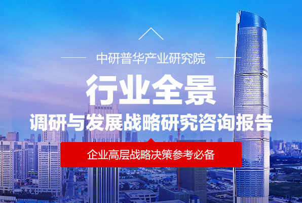 行業全景調研與發展戰略研究報告