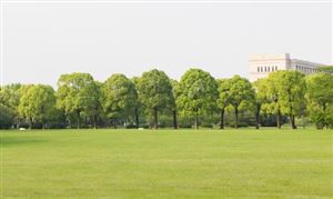 除草劑行業現狀與發展趨勢分析